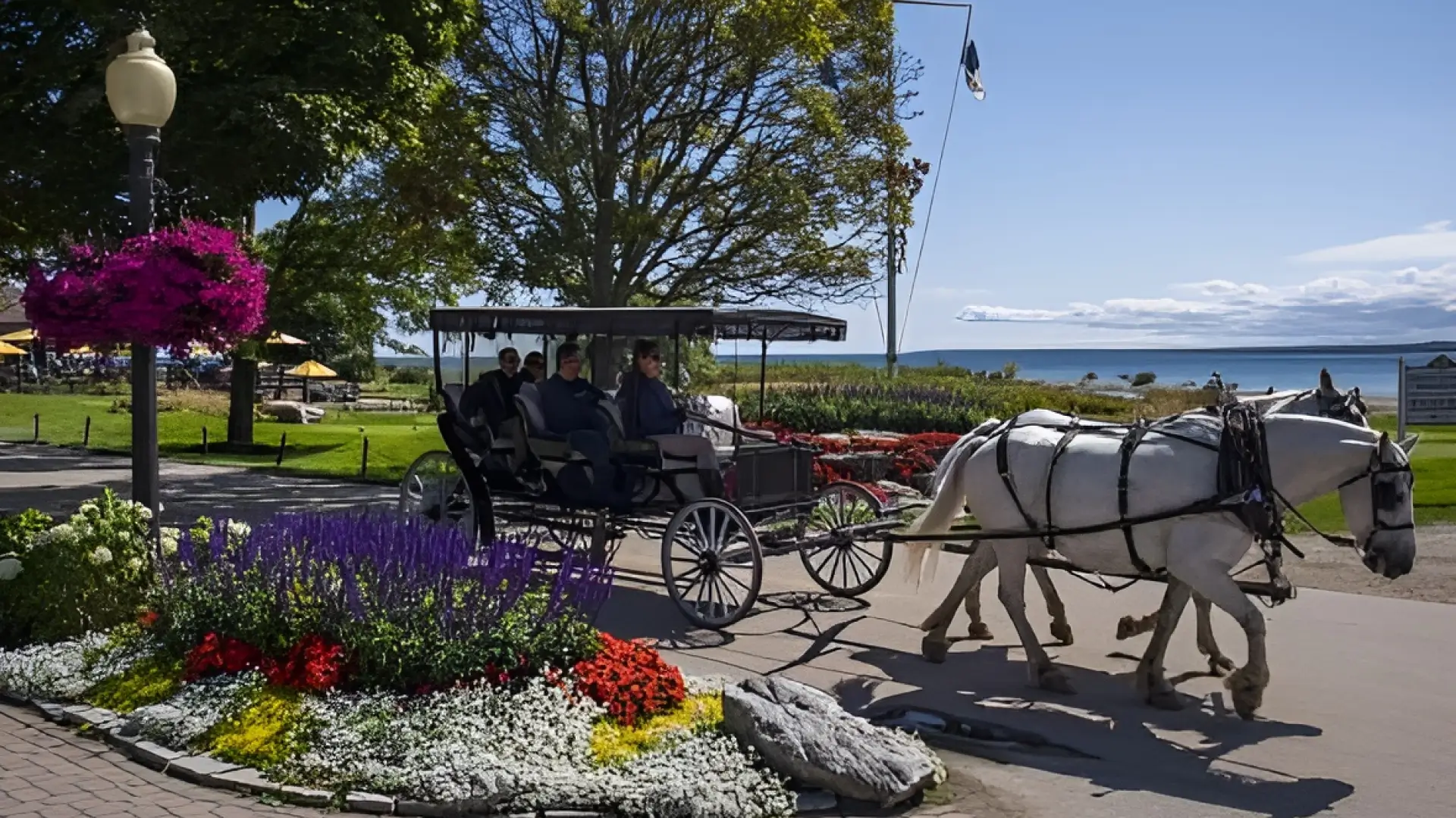 A beautiful cart